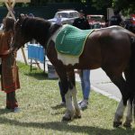 На «выставке» американских автомобилей победил советский мотоциклист (фото)