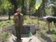 В Харькове возле камня УПА высадят калину