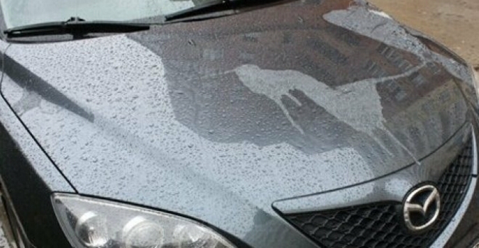 Автомобиль владелицы спортклуба YOD облили кислотой