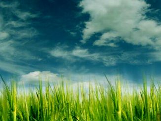 Прогноз погоды на 11 мая