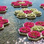 В Харькове появилась «экзотика»