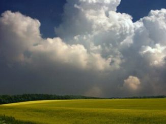 В Харькове, 26 июня, будет облачно, дождь