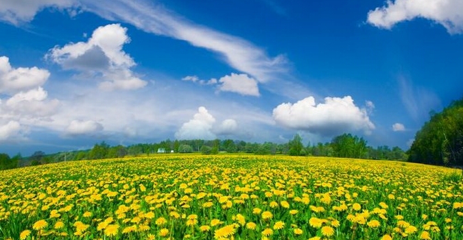 В Харькове, 11 июля, будет солнечно, без осадков