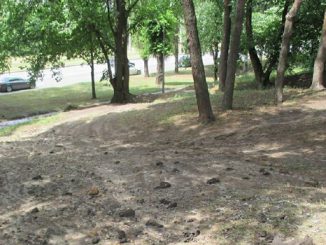 КП нищить “зелений” символ Харкова