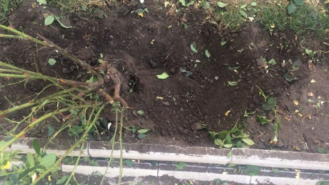 Война в Староверовке началась? (фото)