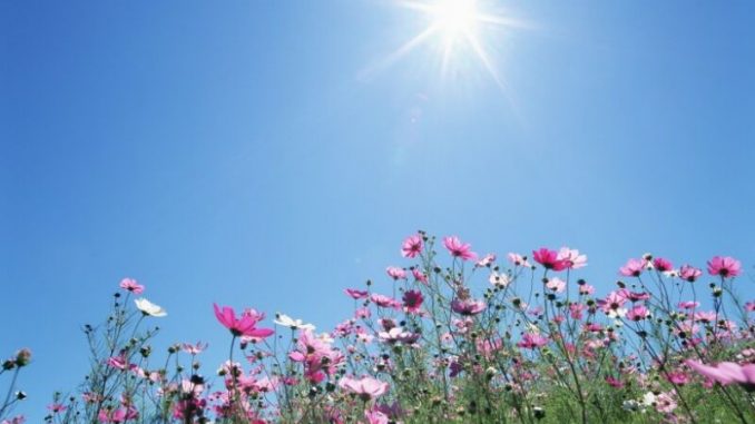 В Харькове, 15 августа, переменная облачность, без осадков