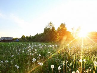 В Харькове, 6 августа, будет солнечно, без осадков