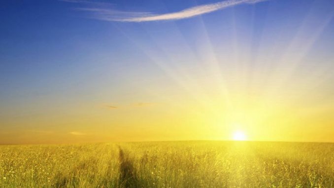 В Харькове, 1 августа, будет солнечно, без осадков