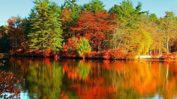 В Харькове, 12 сентября, солнечно, без осадков