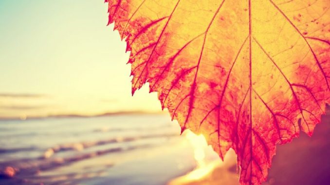 В Харькове, 17 сентября, солнечно, без осадков