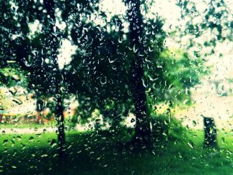 В Харькове, 2 сентября, пасмурно, дождь