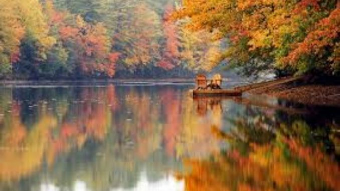 В Харькове, 26 сентября, переменная облачность, без осадков