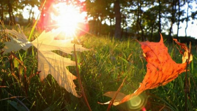В Харькове, 18 октября, солнечно, без осадков