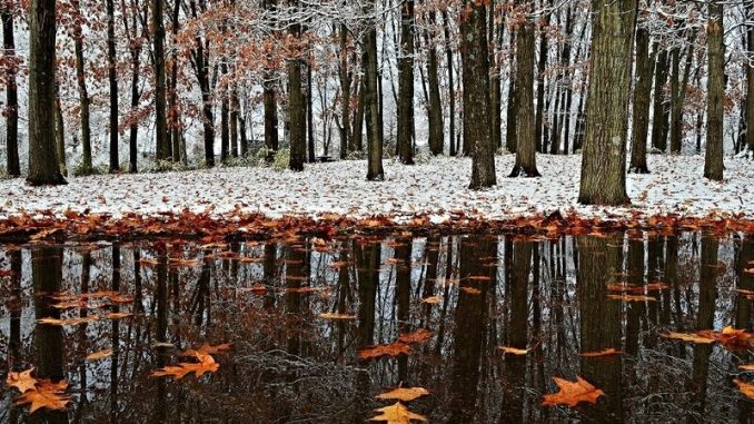 В Харькове, 1 ноября, переменная облачность, снег