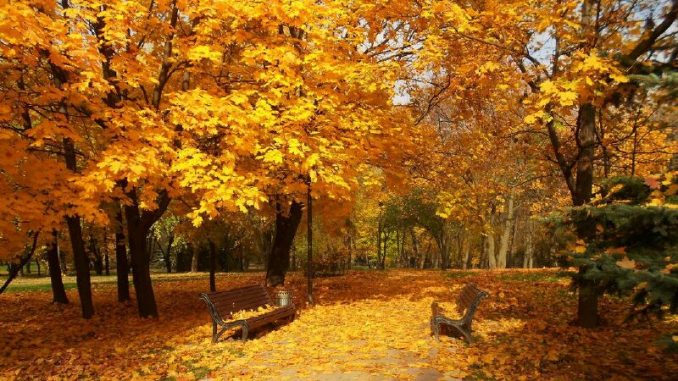 В Харькове, 2 октября, пасмурно, без осадков