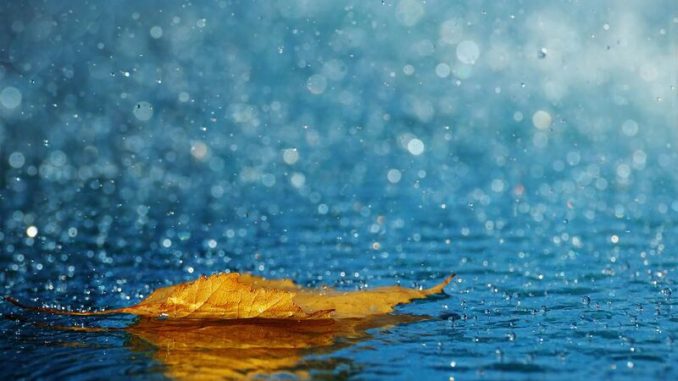 В Харькове, 13 октября, пасмурно, дождь