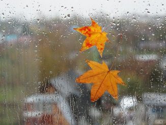 В Харькове, 14 октября, облачно, дождь