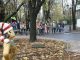 Марш за права дельфинов прошел в Харькове