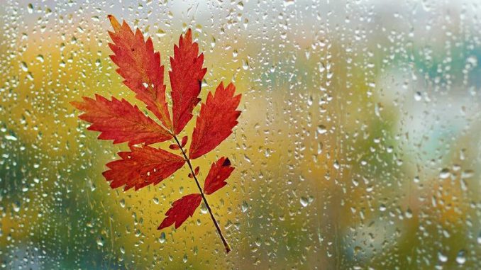 В Харькове, 3 ноября, облачно, дождь