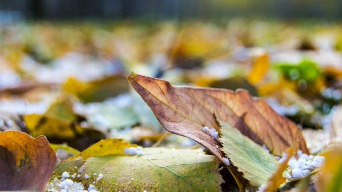 В Харькове, 19 ноября, облачно, дождь со снегом