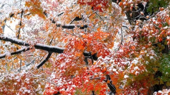 В Харькове, 20 ноября, облачно, дождь со снегом