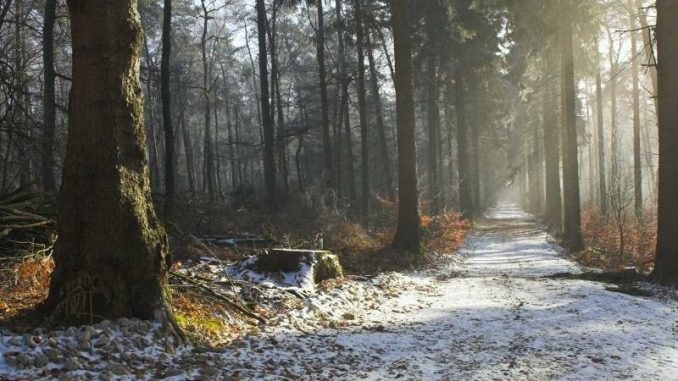 В Харькове, 22 ноября, облачно, без осадков