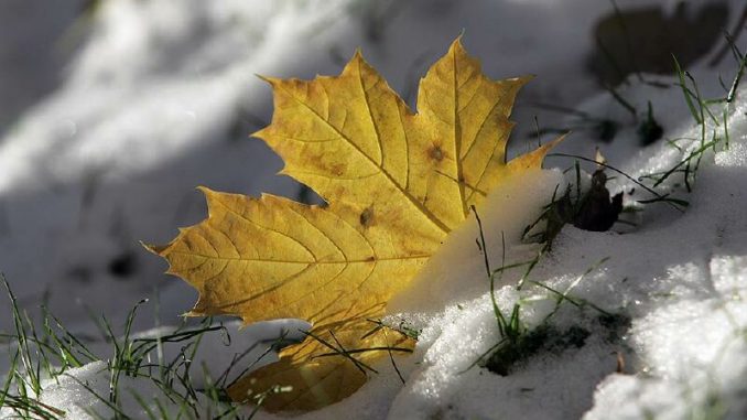 В Харькове, 26 ноября, облачно, снег