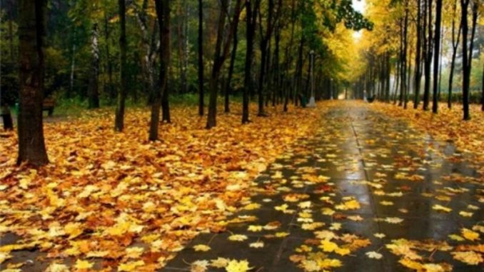 В Харькове, 6 ноября, облачно, без осадков