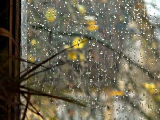 В Харькове, 10 ноября, облачно, дождь