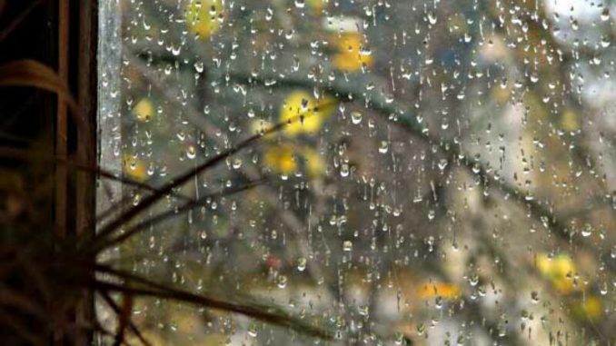 В Харькове, 10 ноября, облачно, дождь