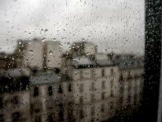 В Харькове, 14 декабря, облачно, дождь