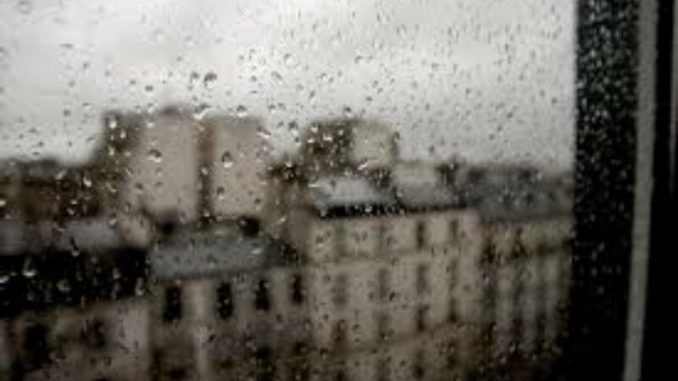 В Харькове, 14 декабря, облачно, дождь