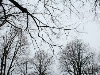 В Харькове, 29 декабря, облачно, без осадков