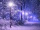 В Харькове, 5 декабря, облачно, снег