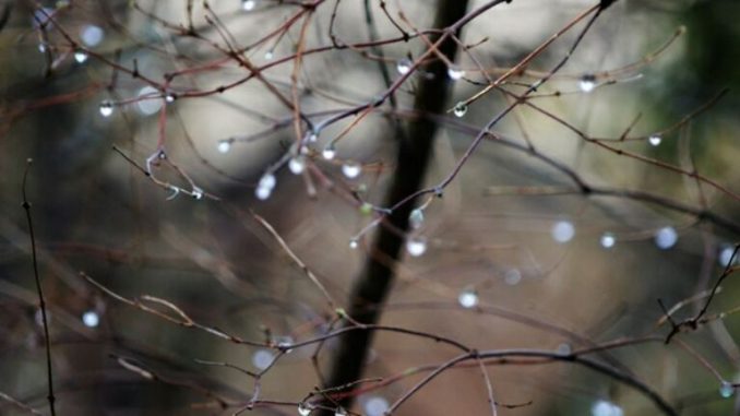 В Харькове, 2 декабря, облачно, дождь