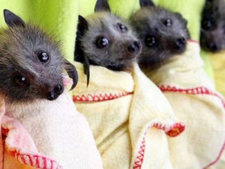 За пределами Харькова поставили рекорд