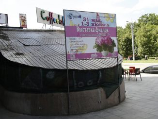 В Харькове проходит выставка фиалок (фото)