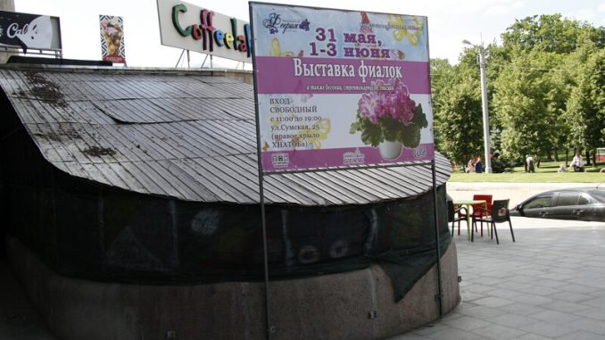 В Харькове проходит выставка фиалок (фото)