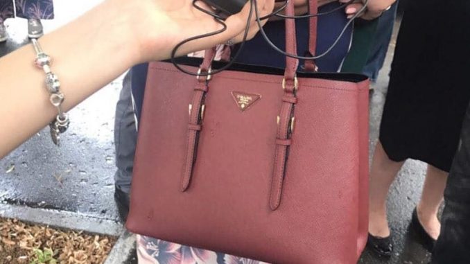 С сумочкой за 100 юаней пришла на суд в Харькове Т. Цибульник